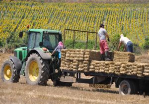 Tarımsal Girdi Enflasyonunda Yeni Rekor