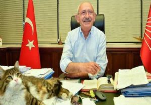 Kılıçdaroğlu Ailesinde İkizBebek Sevinci