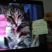 KAÇIRILAN KEDİYE SİGARALI FİDYE!