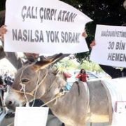 EŞEKLİ KPSS PROTESTOSU!