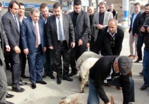 MUAMMER GÜLER E 29 KURBAN!