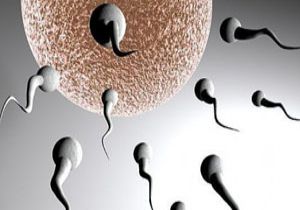CEZAEVİ NE SPERM GÖNDERDİ, BABA OLDU