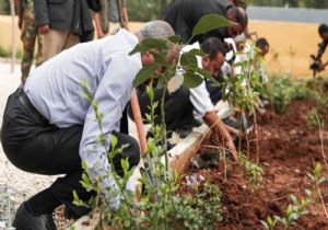 Etiyopya da Ağaç Dikme Rekoru