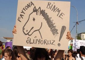 Adalardaki Atlar Kurtuluyor!