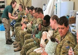 Askerler Koalalara Annelik Yapıyor