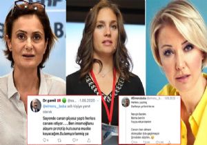 Milli Hesaplara Küfür ve  TacizTepkisi