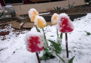 Ankara da 23 Nisan da Kar Sürprizi