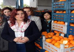 Üretici Onu Topuklu Efe İlan etti!