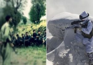 Teslim Oldu, Her Şeyi Anlattı