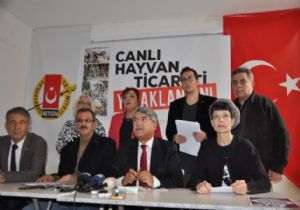  İşkence ve Hastalık Gemisi 