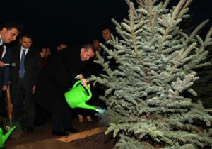 BAŞBAKAN ERDOĞAN, AĞAÇ DİKTİ!