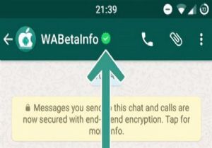 Whatsapp ta Yeşil Tik Dönemi!