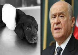 Bahçeli den Ağlatan Olaya Tepki