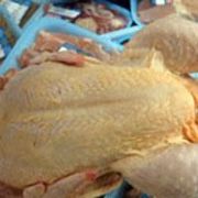 DONDURULMUŞ PİLİÇ TEN CAM PARÇALARI ÇIKTI