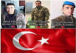 Barış Pınarı Bölgesinden Acı Haber
