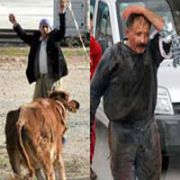 BOĞALAR,A TİM DAYANMADI,  ÖNÜNE GELENİ DEVİRDİ