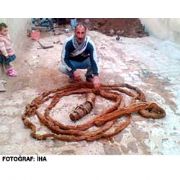 MAHALLE NİN SU BORUSUNDAN 17 METRELİK AĞAÇ KÖKÜ ÇIKTI