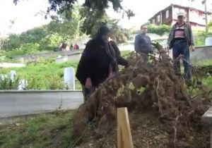 Mezar Kazıp Ceset Yiyen Ayı Dehşeti