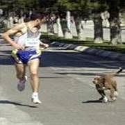 MİLLİ ATLET YARIŞI KÖPEK KORKUSUYLA JET GİBİ TAMAMLADI
