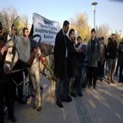 AT ARABALI BENZİN ZAMMI PROTESTOSU!