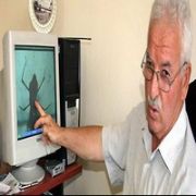 KENE AVCISI BÖCEK,KENE YERKEN GÖRÜNTÜLENDİ