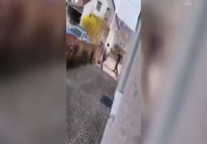Alman Polisinden İnsanlık Dışı Olay