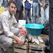 ÖĞRENCİLERİN YETİŞTİRDİKLERİ BALIKLAR YOK SATTI