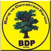 BDP. GENEL BAŞİKANANI SEÇİYOR