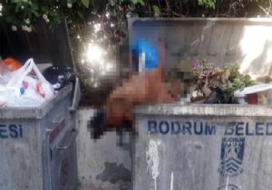 BODRUM DA İMAR DEĞİŞİKLİĞİNE YARGI FRENİ