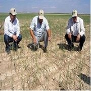 KONYA OVASI  ÇÖL İKLİMİNE  YAKLAŞT