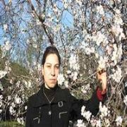 DATÇA DA BADEM AĞAÇLARI ÇİÇEK AÇTI...