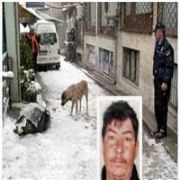 DONAN KİMSESİZİN TEK VEFALI DOSTU SOKAK KÖPEĞİ ÇIKTI