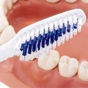 DİŞLERİ KAN VE KEMİKLE KURTARIYORLAR