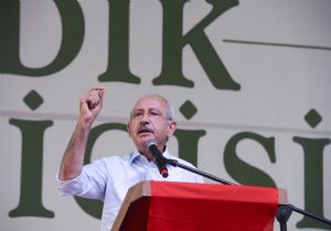 Fındık İçin Çözüm Önerisi
