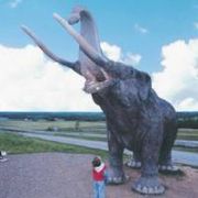 BURDUR DA FİLLERİN ATASI MASTODON FOSİLİ BULUNDU