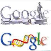 GOOGLE YE TÜRK RAKİP