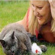 EZİLEN KEDİSİNE ESTETİK YAPTIRDI