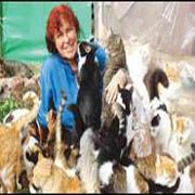 KEDİLERE YARDIM BELEDİYEDEN