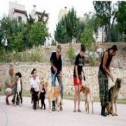 KÖPEKLERE NASIL HAVLANIR I ÖĞRETTİLER