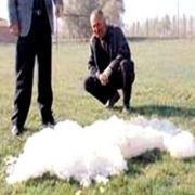 ÇORUM DAKİ ESRARENGİZ KÖPÜĞÜN SIRRI ÇÖZÜLDÜ