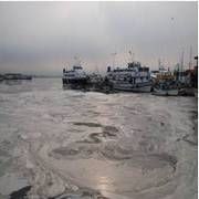 MARMARA YI YAĞ TABAKASI KAPLADI VATANDAŞ PANİKLEDİ