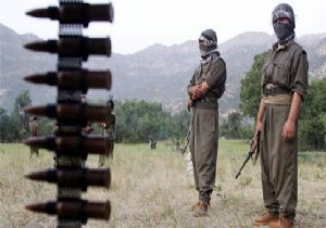PKK MEZARLIĞINA MÜDAHALE