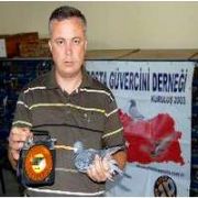 POSTA GÜVERCİNLERİ ŞAMPİYONASI