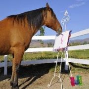 RESSAM ATIN TEK RAKİBİ PİCASSO