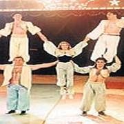 STARLARA İŞ KALMAYINCA SİRK GÖSTERİCİSİ OLDULAR