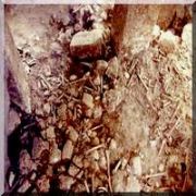 MARDİN DE BİN KİŞİLİK TOPLU MEZAR BULUNDU