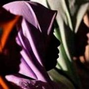TÜRBANLI MECLİS ÜYESİ İSTİFA ETTİ