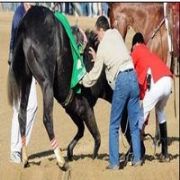 ORACIKTA ÖLDÜRÜLDÜ