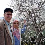 BAHAR ERKEN GELDİ, BADEMLE ÇİÇEK AÇTI!