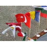 SURİYE DE SKANDAL...